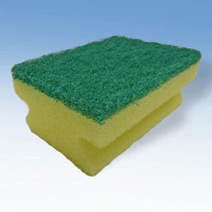 Sponge scourer - Pack of 10